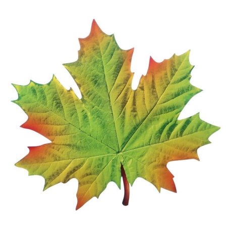 Кленовый лист желтый