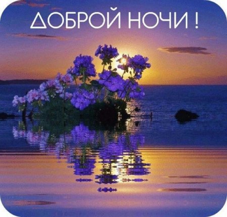 Спокойной летней ночи