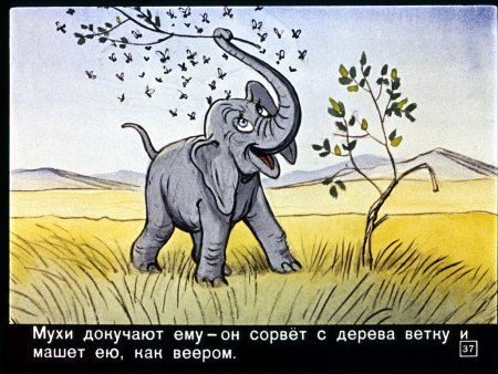 Редьярд Киплинг Слоненок диафильм