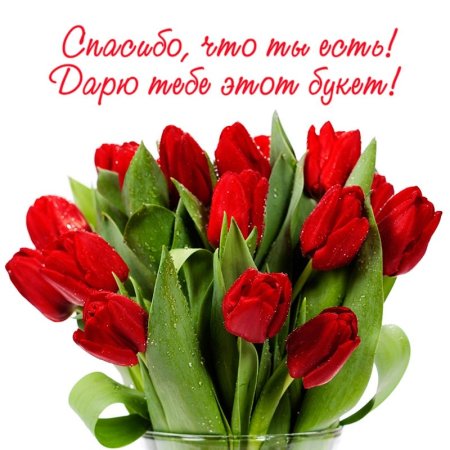 Букет тюльпанов для тебя