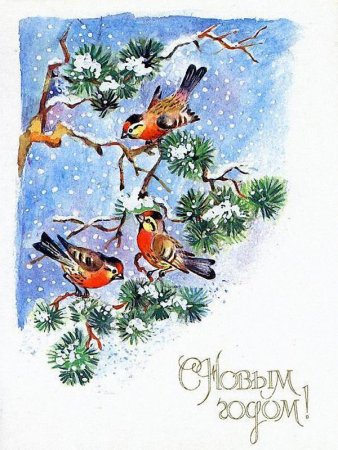 Новогодние открытки с птичками