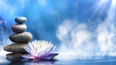 Дзен спокойствие и Гармония