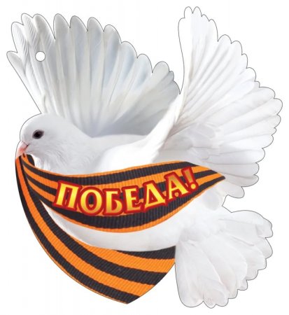 Голуби на 9 мая