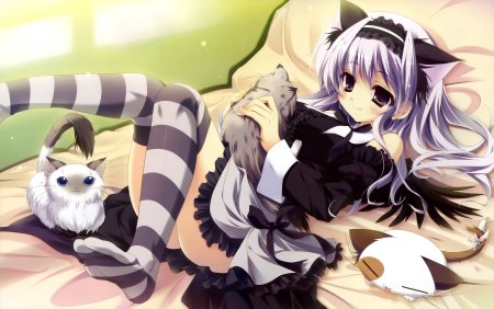 Аниме кошка