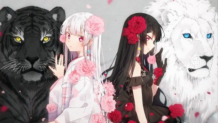 Аниме девочки звери