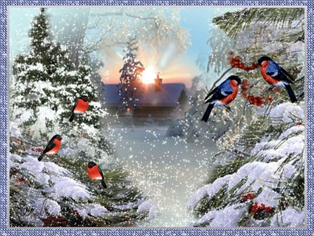 Зимние пейзажи мерцающие