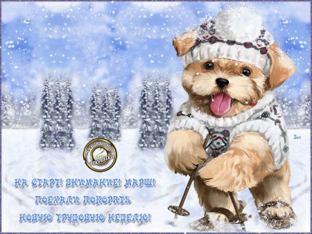 Отличного понедельника зима