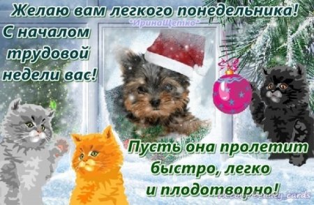 Доброго зимнего понедельника