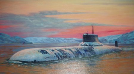 АПЛ 671ртм картины