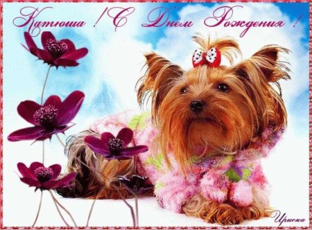 Катенька с днем рождения