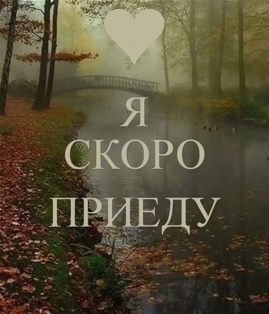 Я скоро приеду