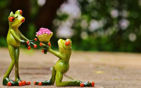 Влюбленная лягушка