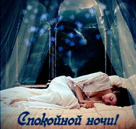 Спокойной ночи сладких снов