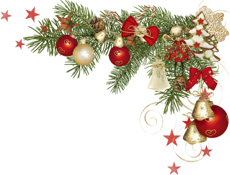 Новогодние еловые ветки