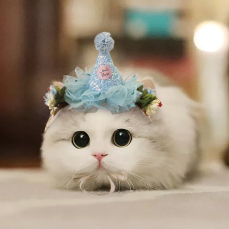 Няшные котята