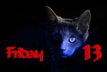 Пятница 13 кот