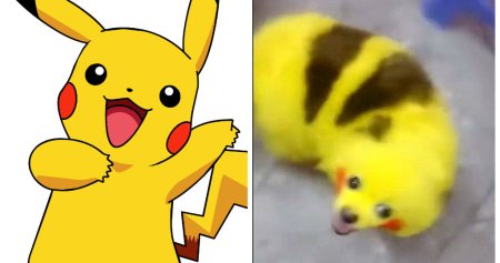 Хвост покемона Пикачу