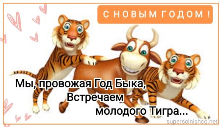 Уходящий год тигра