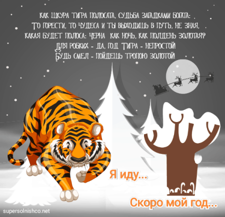 Год тигра 2022 уходящий