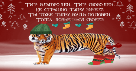 Уходящий год тигра новый год