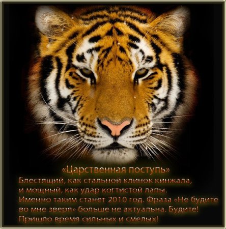Поздравление с годом тигра