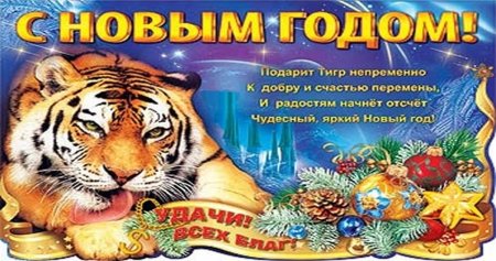 Год тигра
