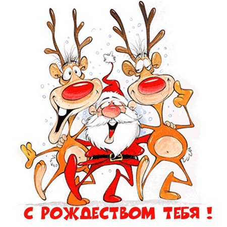 Новый год прикольные
