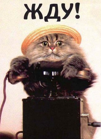 Жду с нетерпением