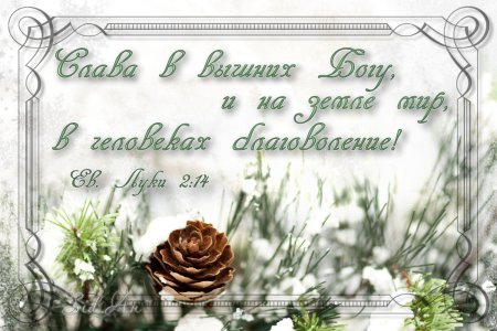 Рождественские открытки с Цитатами из Библии