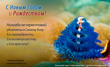 Христианские пожелания с новым годом
