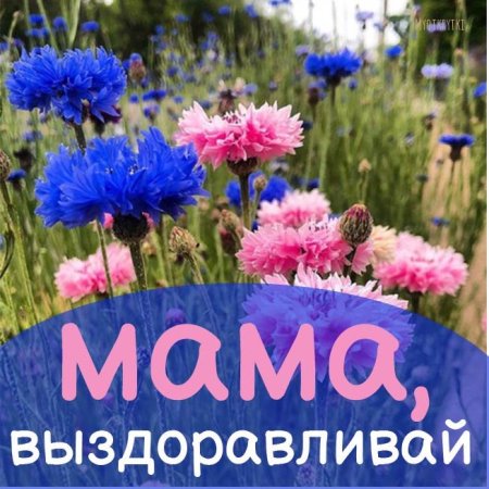 Мама не болей выздоравливай