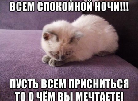 Спокойной ночи Анечка