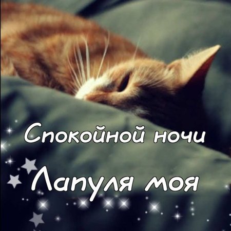 Семочка спокойной ночи