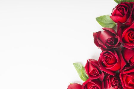 Красные розы на белом фоне