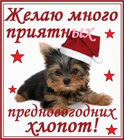 Открытка приятных предновогодних хлопот