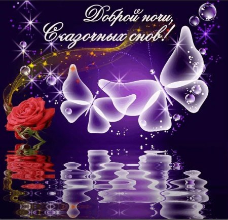 Доброго вечера и спокойной ночи