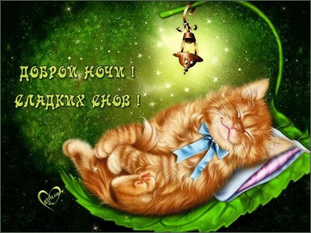 Доброй ночи