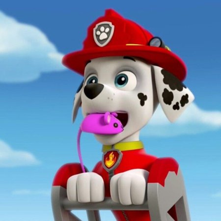 Щенячий патруль. Маршал