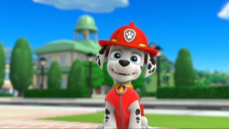 Щенячий хвост