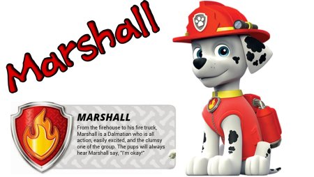 Щенячий патруль Маршал на белом фоне