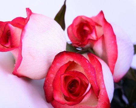 Самой любимой