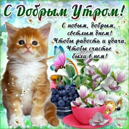 Открытки с добрым утром с котятами