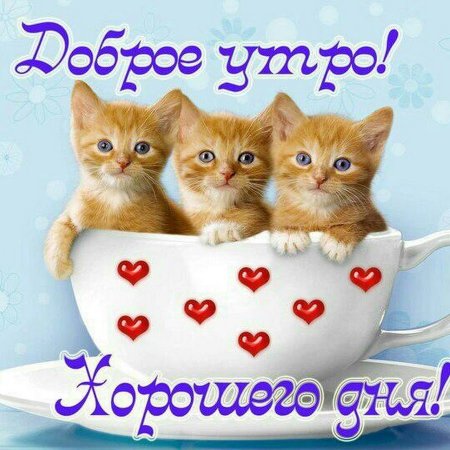Пожелания с добрымиутром