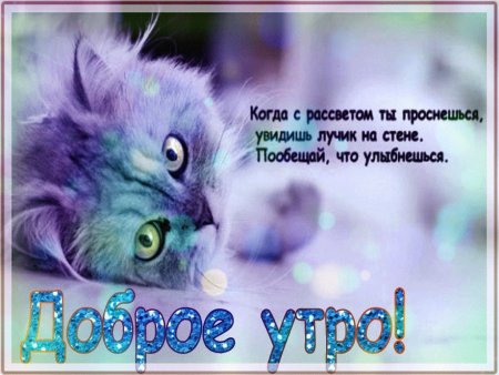 Доброе утро котенок мой