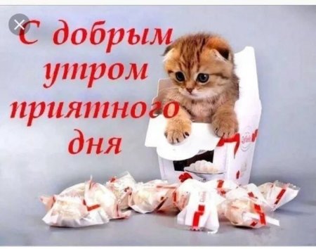 Доброе утро котенок