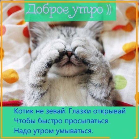 Открытки с котиками доброго утра