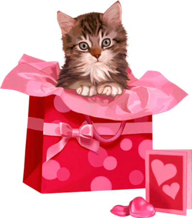 Котенок в подарочной коробке