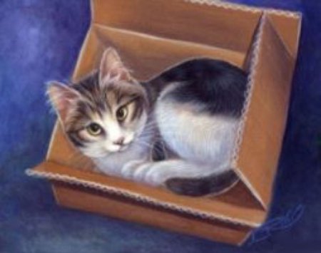 Живопись котенок в коробке
