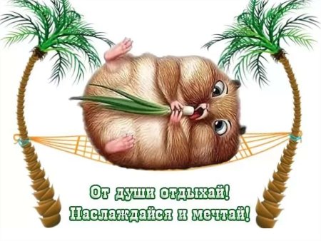 Поздравление с отпуском в картинках
