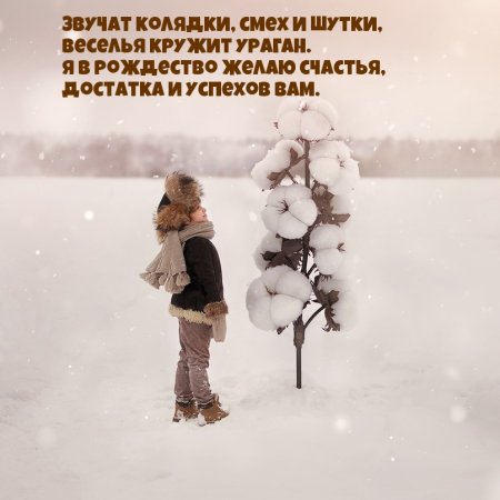 Колядки приколы